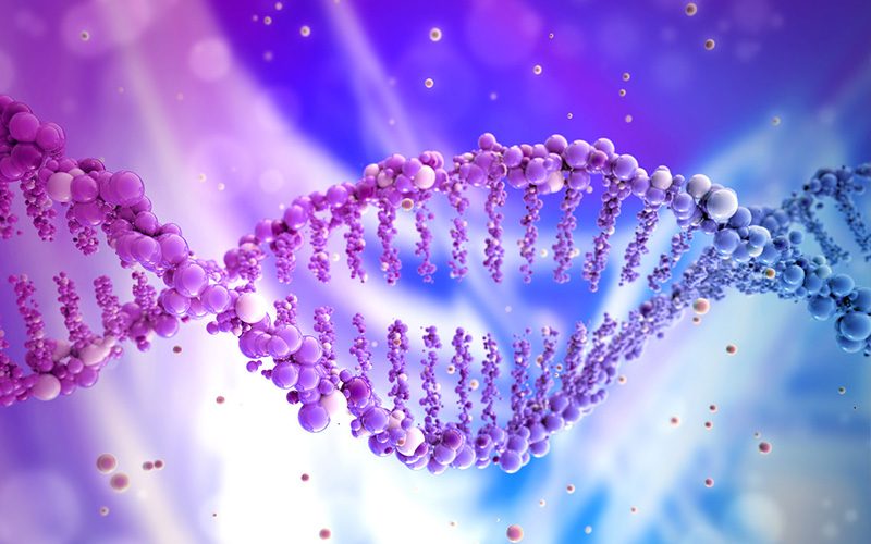 natalia_ebert_ThetaHealing